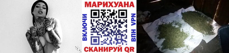 Купить где  Циолковский  Шишки марихуана планчик 